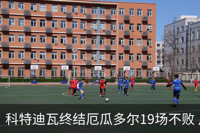 科特迪瓦终结厄瓜多尔19场不败 用韧性拿到世界杯开门红