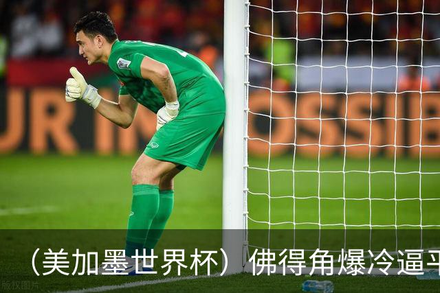 （美加墨世界杯）佛得角爆冷逼平西班牙 比利时埃及握手言和
